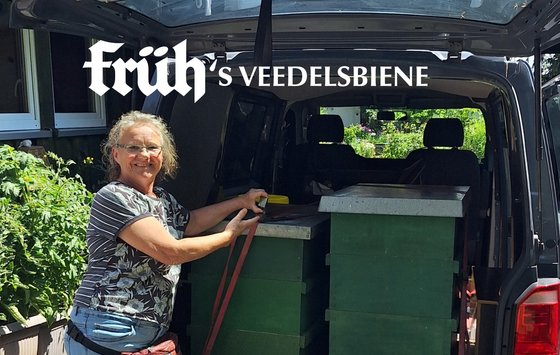 Bild FRÜH's Veedelsbiene Ernte